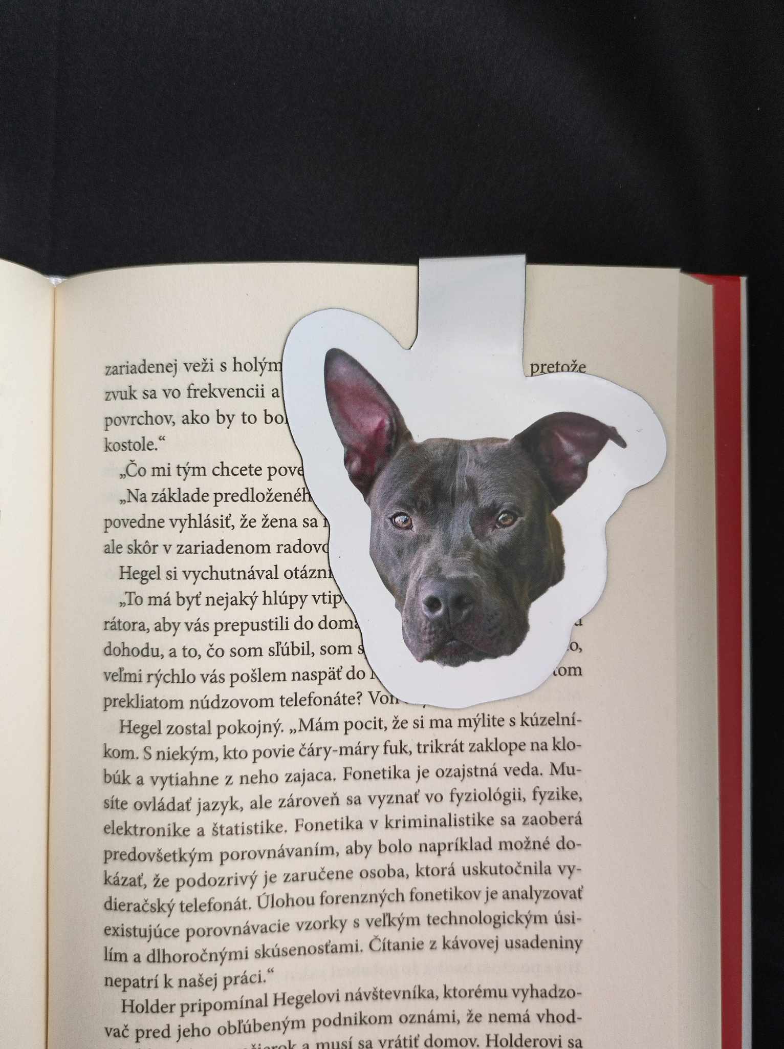 Magnetická záložka s fotkou
