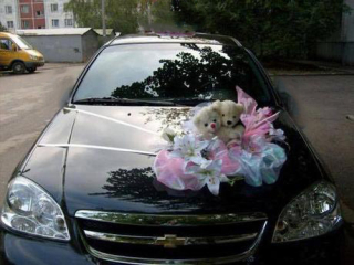 Svadobná výzdoba na auto  bielo-rúžová s medvedíkmi A 061